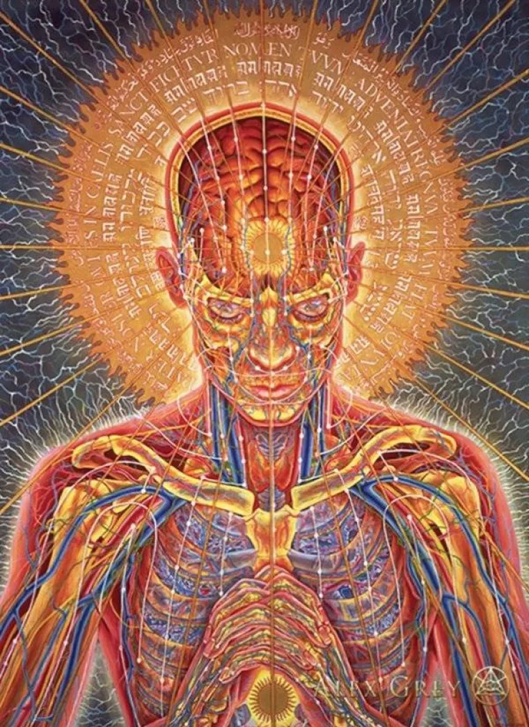 ON SE DROGIRA DA VI NE MORATE: Bilježi svoja iskustva na tripu i 'beskonačnu ljubav i jedinstvo'