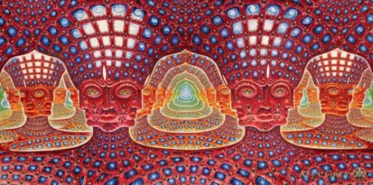 ON SE DROGIRA DA VI NE MORATE: Bilježi svoja iskustva na tripu i 'beskonačnu ljubav i jedinstvo'