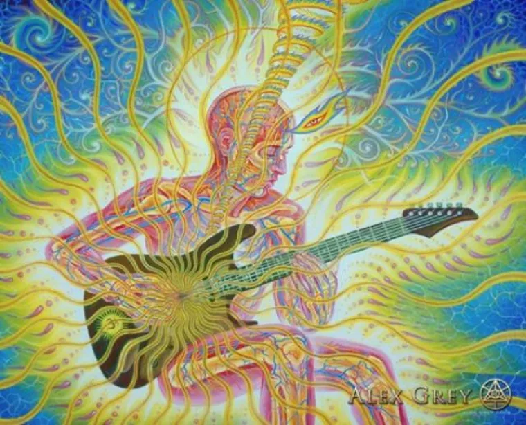 ON SE DROGIRA DA VI NE MORATE: Bilježi svoja iskustva na tripu i 'beskonačnu ljubav i jedinstvo'