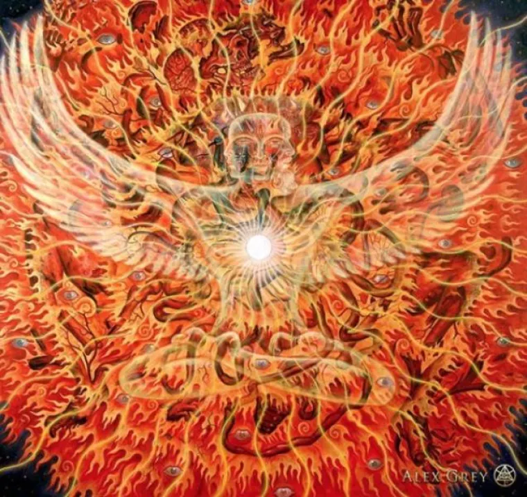 ON SE DROGIRA DA VI NE MORATE: Bilježi svoja iskustva na tripu i 'beskonačnu ljubav i jedinstvo'