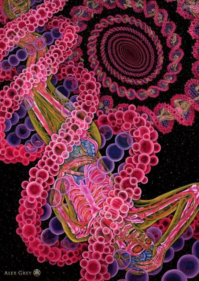 ON SE DROGIRA DA VI NE MORATE: Bilježi svoja iskustva na tripu i 'beskonačnu ljubav i jedinstvo'