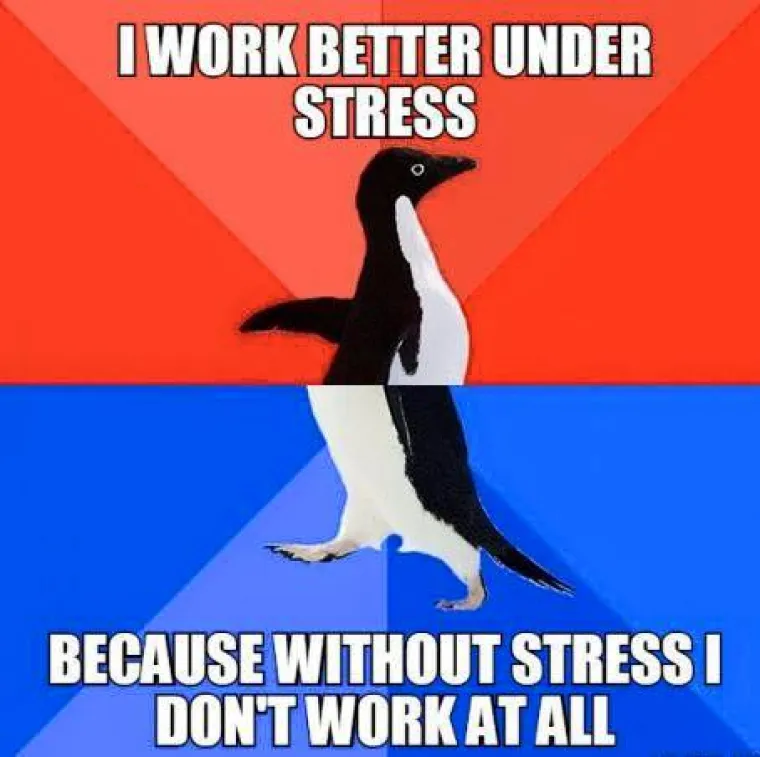 Bez stresa život bi im bio tuga, čemer i jad