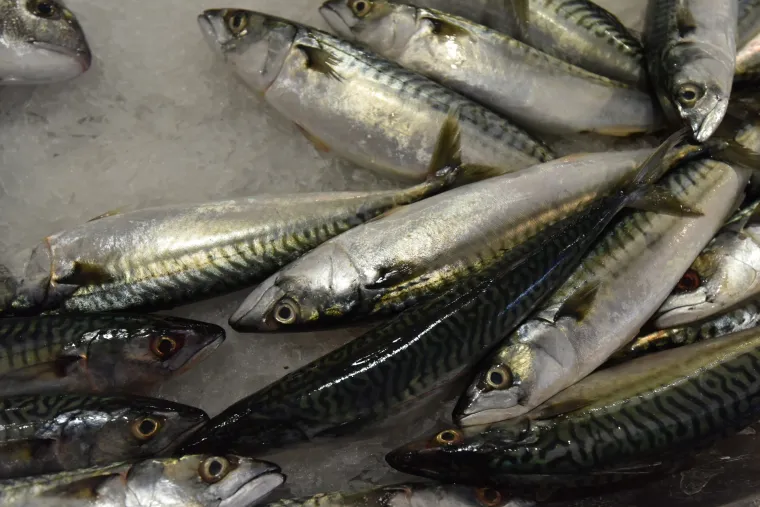 Užas na pulskoj ribarnici: Ženu i njezinu kćer na &scaron;tandu zalila solnom kiselinom