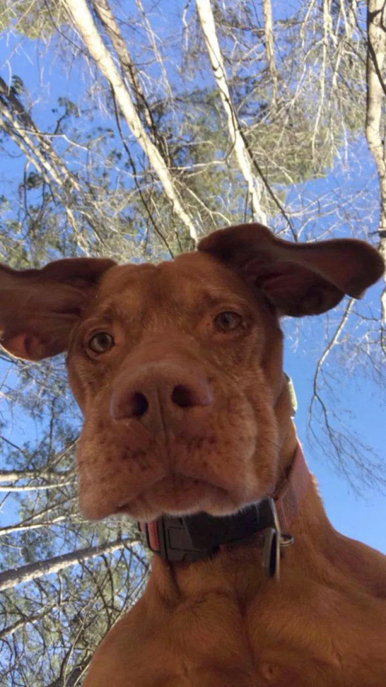 Ekipa je podijelila slike koje je na&scaron;la na mobitelu a da ih nisu snimili. Recimo, ovaj lik koji je odložio mobitel kako bi skupio loptice u dvori&scaron;tu.