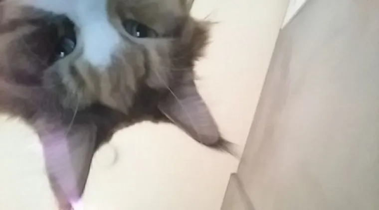 "Moj mobitel fotografira kada netko krivo ukuca pin. Ovo me dočekalo ujutro"