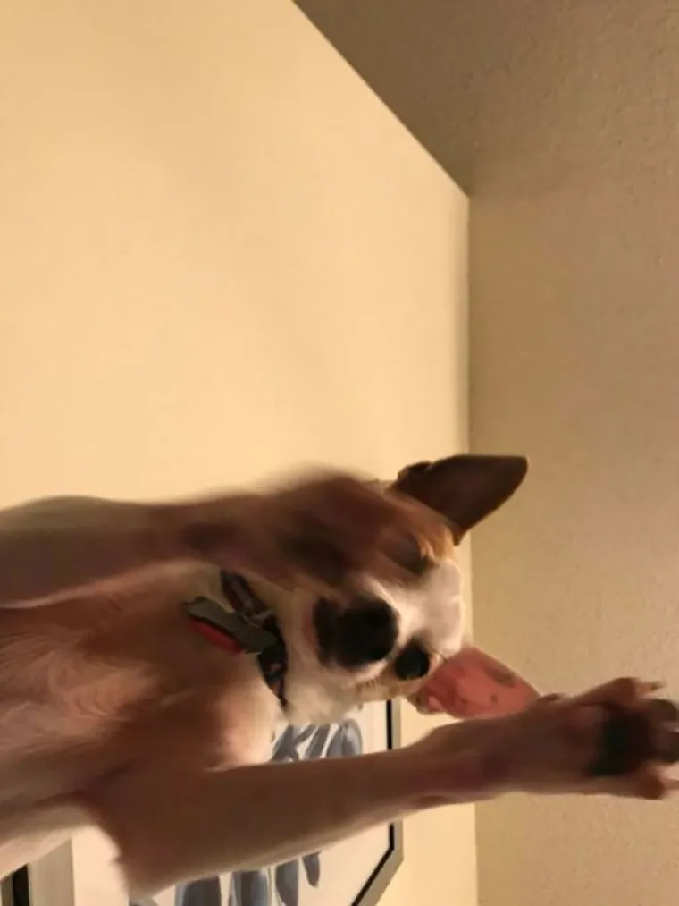 "mobitel je na sekundu bio na kauču"