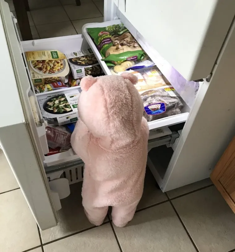 Klinci su zakon, a evo njih nekoliko koji su zaista pravi mali genijalci