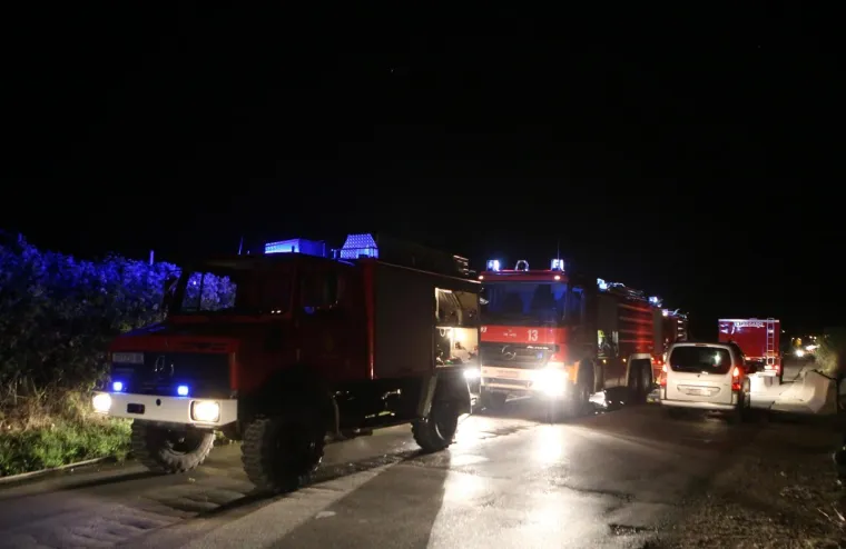 Brzom intervencijom vatrogasaca spriječeno je &scaron;irenje požara niskog raslinja na prilazu TTTS-u (Transportno trgovačkom terminalu Split).