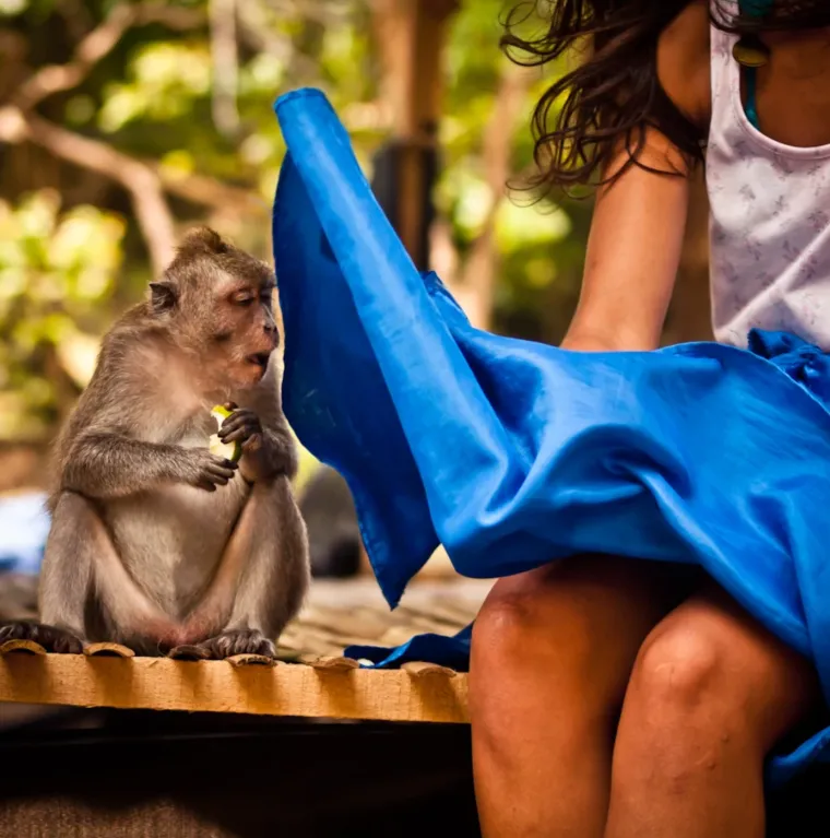 Fotografije uhvaćene u savr&scaron;enom trenutku: kada se stvari nevjerojatno poklope
