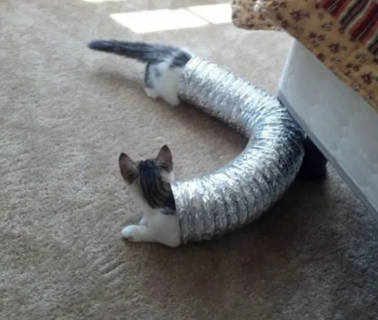 Fotografije uhvaćene u savr&scaron;enom trenutku: kada se stvari nevjerojatno poklope