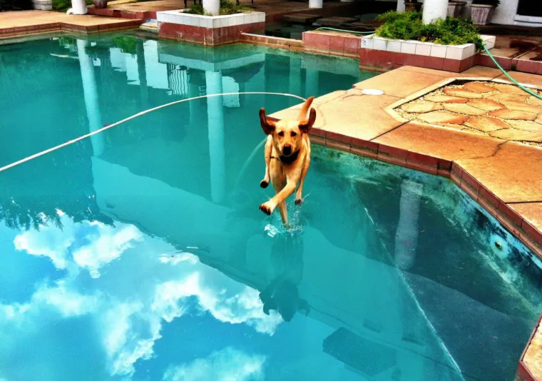 Fotografije uhvaćene u savr&scaron;enom trenutku: kada se stvari nevjerojatno poklope