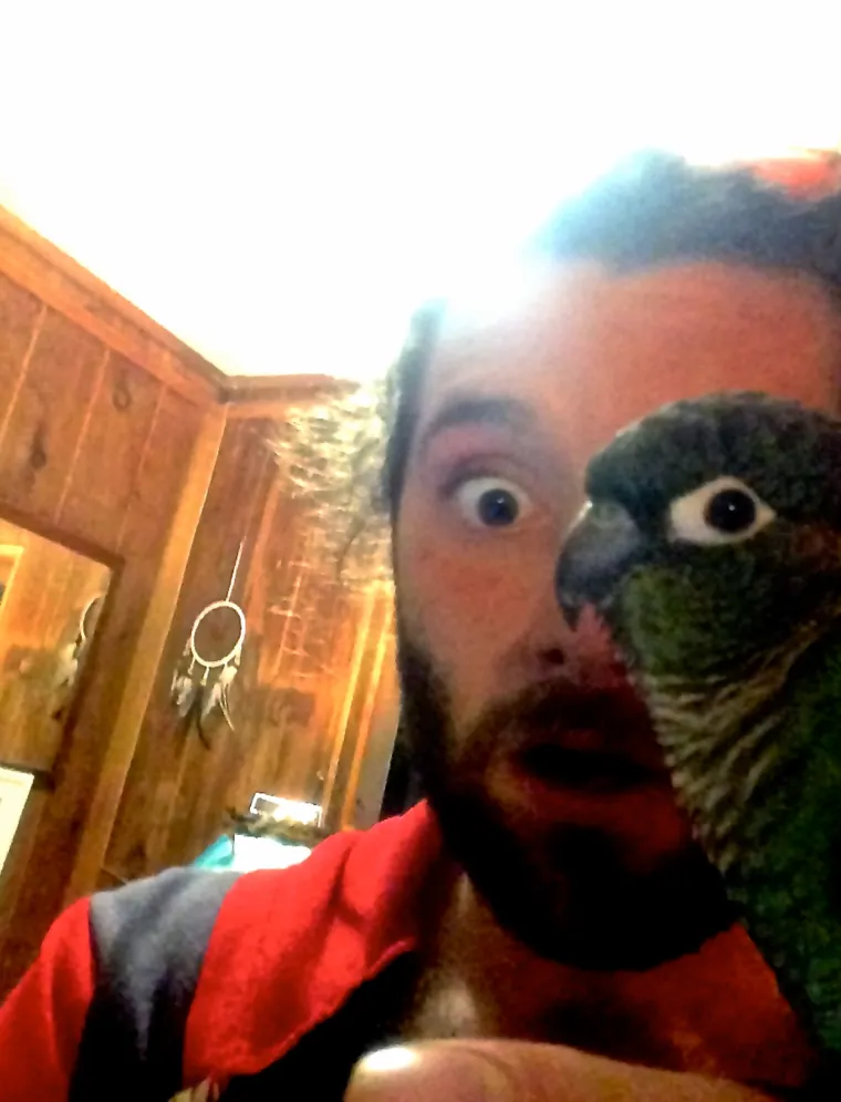 Fotografije uhvaćene u savr&scaron;enom trenutku: kada se stvari nevjerojatno poklope