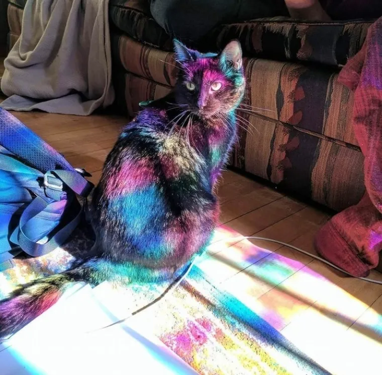 Kad dobri ljudi interneta krenu u Photoshop 'borbu', sve je moguće