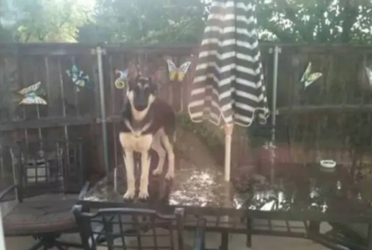 Ljudi koji su odlučili živjeti po svojim pravilima i nasmijat nas do suza