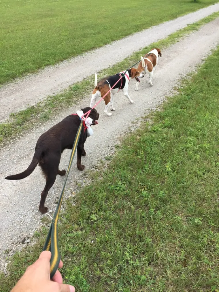 Među nama žive geniji koji su jednostavno rije&scaron;ili svakodnevne probleme koji nas muče