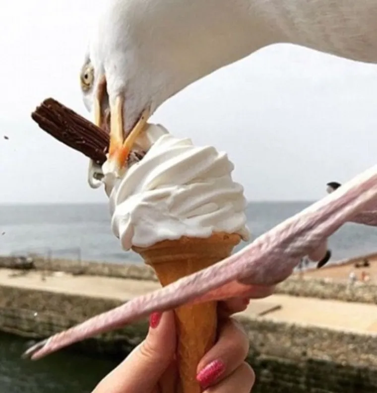 Kad te sreća neće: nekad dan krene odlično, ali zavr&scaron;i potpuno neočekivano