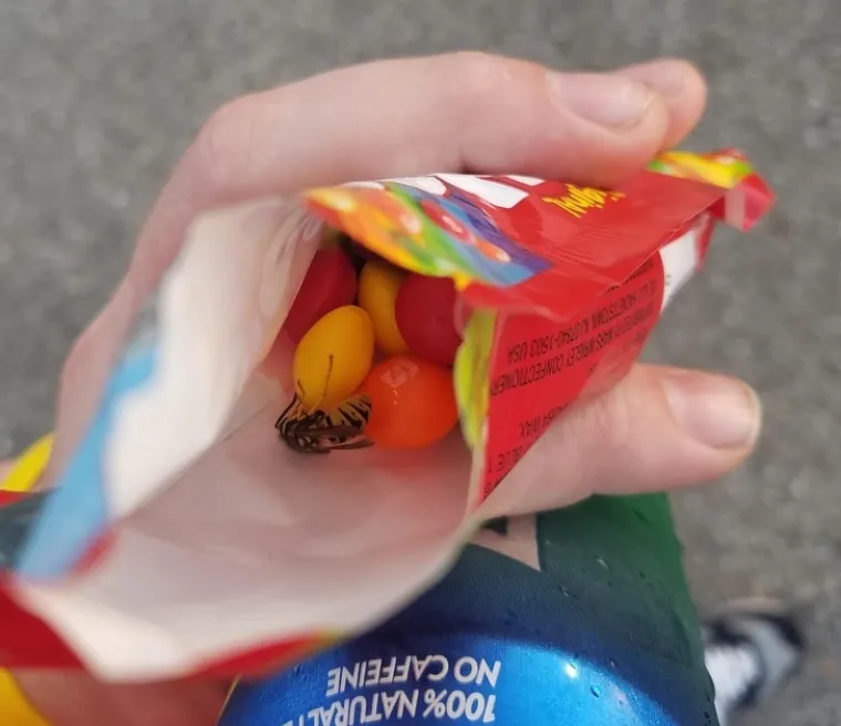 Kad te sreća neće: nekad dan krene odlično, ali zavr&scaron;i potpuno neočekivano