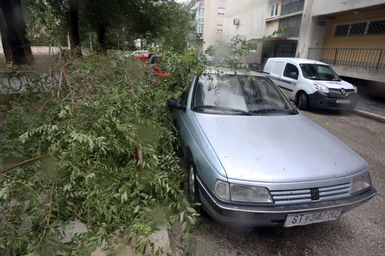ORKANSKA BURA PARALIZIRALA SPLIT: Snažan vjetar čupao drveće kao od &scaron;ale