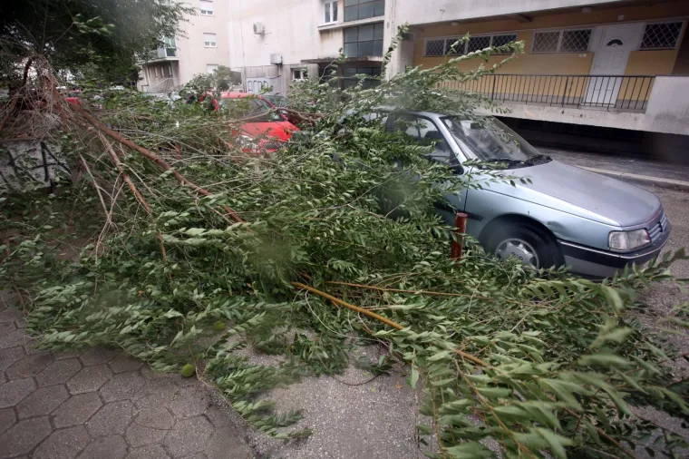 ORKANSKA BURA PARALIZIRALA SPLIT: Snažan vjetar čupao drveće kao od &scaron;ale