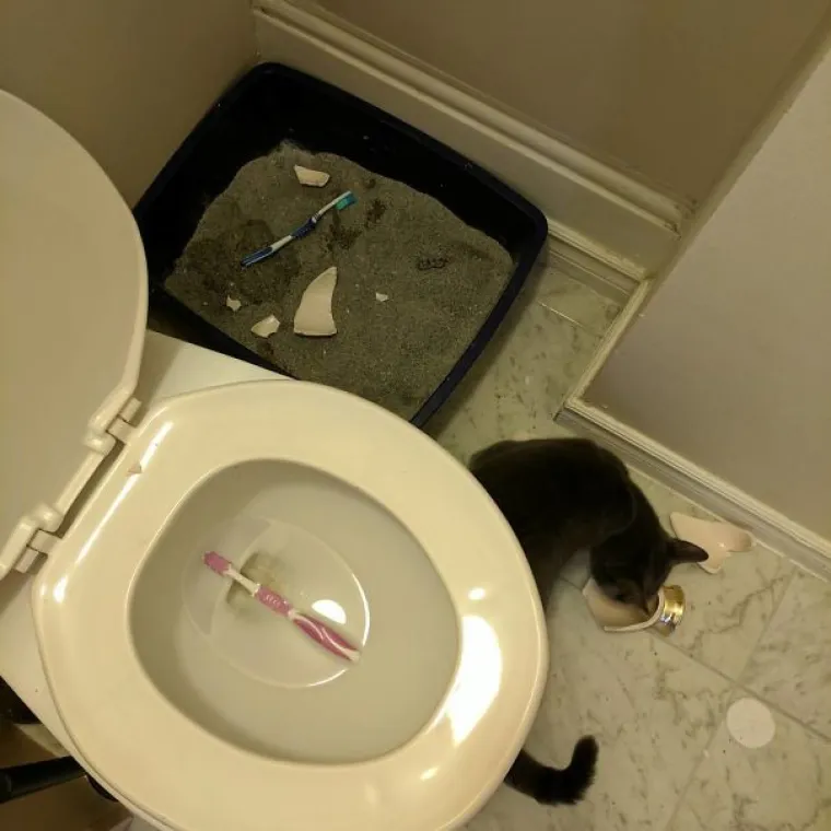 Ako mislite da imate lo&scaron; dan, pogledajte njih: TOP 20 'bad day' situacija