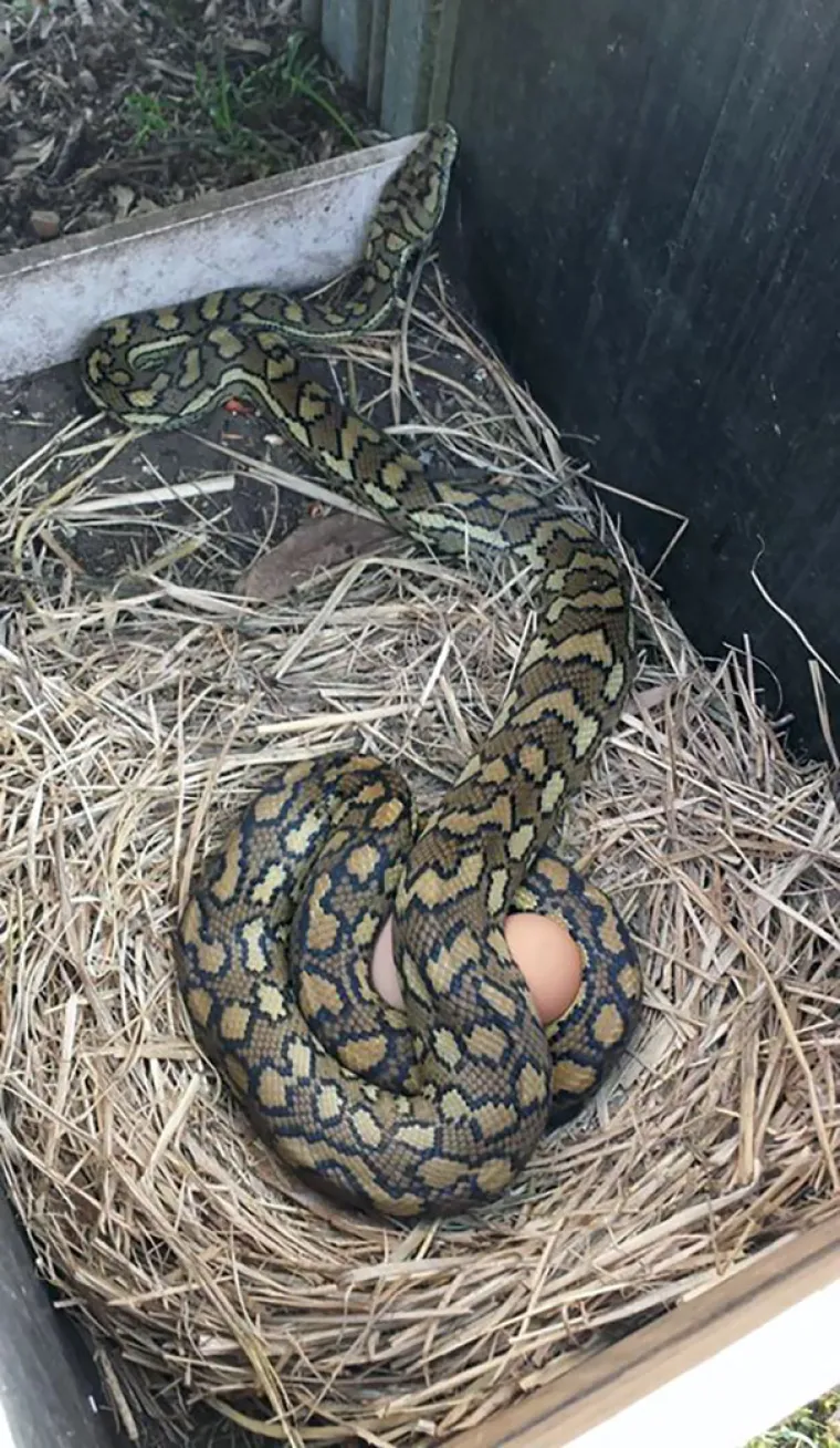 Ako mislite da imate lo&scaron; dan, pogledajte njih: TOP 20 'bad day' situacija