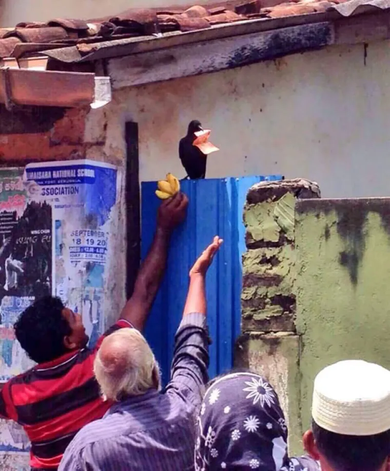 Ako mislite da imate lo&scaron; dan, pogledajte njih: TOP 20 'bad day' situacija