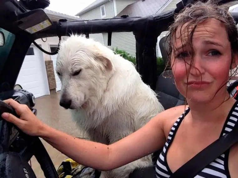 Ako mislite da imate lo&scaron; dan, pogledajte njih: TOP 20 'bad day' situacija