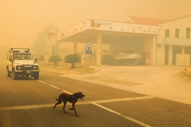 Veliki požar na Pelje&scaron;cu