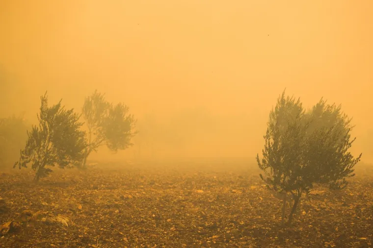 Veliki požar na Pelje&scaron;cu