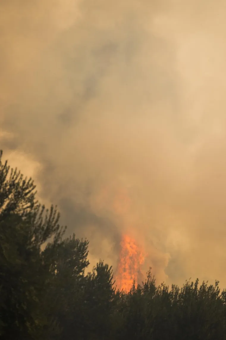 Veliki požar na Pelje&scaron;cu