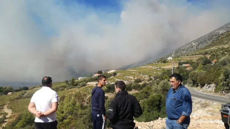 Veliki požar na Pelje&scaron;cu