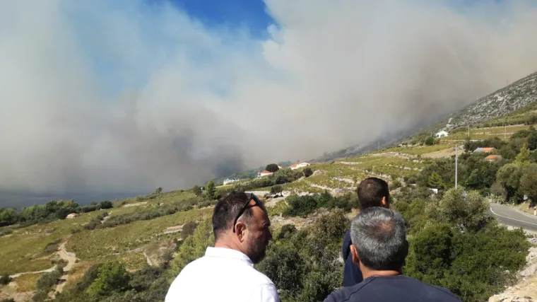 Veliki požar na Pelje&scaron;cu