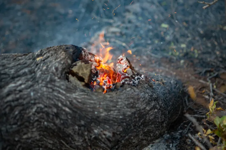 POGLEDAJTE DRAMATIČNE FOTOGRAFIJE: Požar na Pelje&scaron;cu iza sebe je ostavio pusto&scaron;