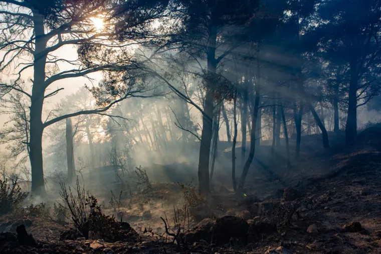 POGLEDAJTE DRAMATIČNE FOTOGRAFIJE: Požar na Pelje&scaron;cu iza sebe je ostavio pusto&scaron;
