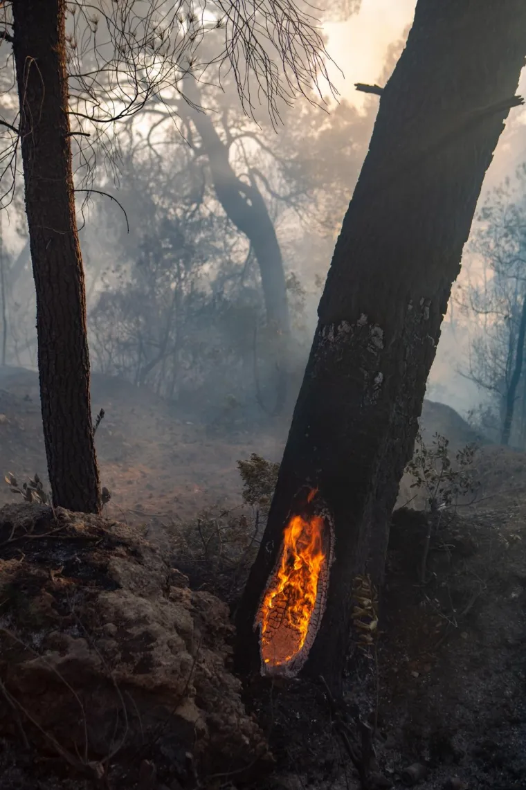 POGLEDAJTE DRAMATIČNE FOTOGRAFIJE: Požar na Pelje&scaron;cu iza sebe je ostavio pusto&scaron;