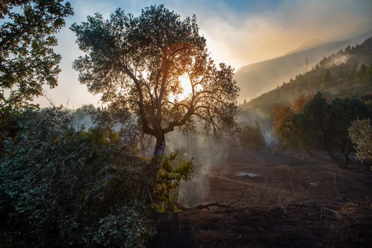 POGLEDAJTE DRAMATIČNE FOTOGRAFIJE: Požar na Pelje&scaron;cu iza sebe je ostavio pusto&scaron;