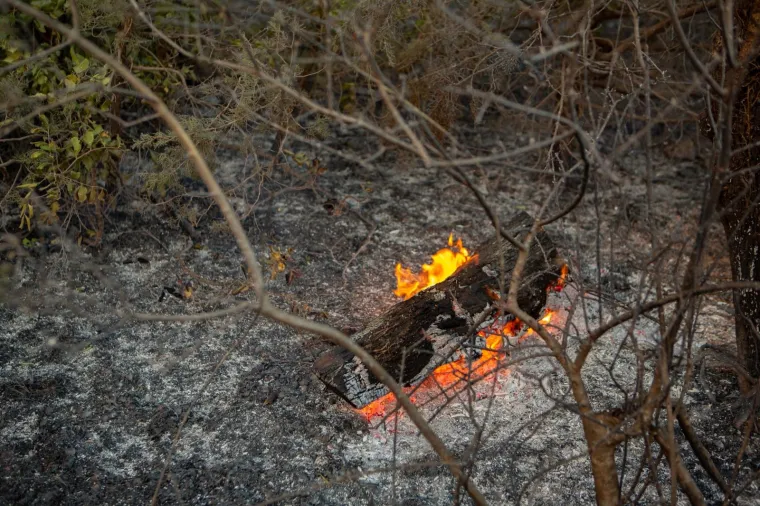 POGLEDAJTE DRAMATIČNE FOTOGRAFIJE: Požar na Pelje&scaron;cu iza sebe je ostavio pusto&scaron;