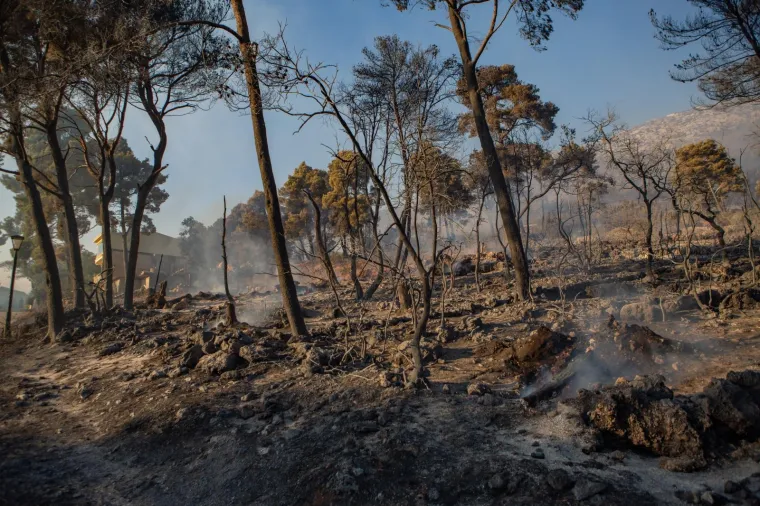 POGLEDAJTE DRAMATIČNE FOTOGRAFIJE: Požar na Pelje&scaron;cu iza sebe je ostavio pusto&scaron;
