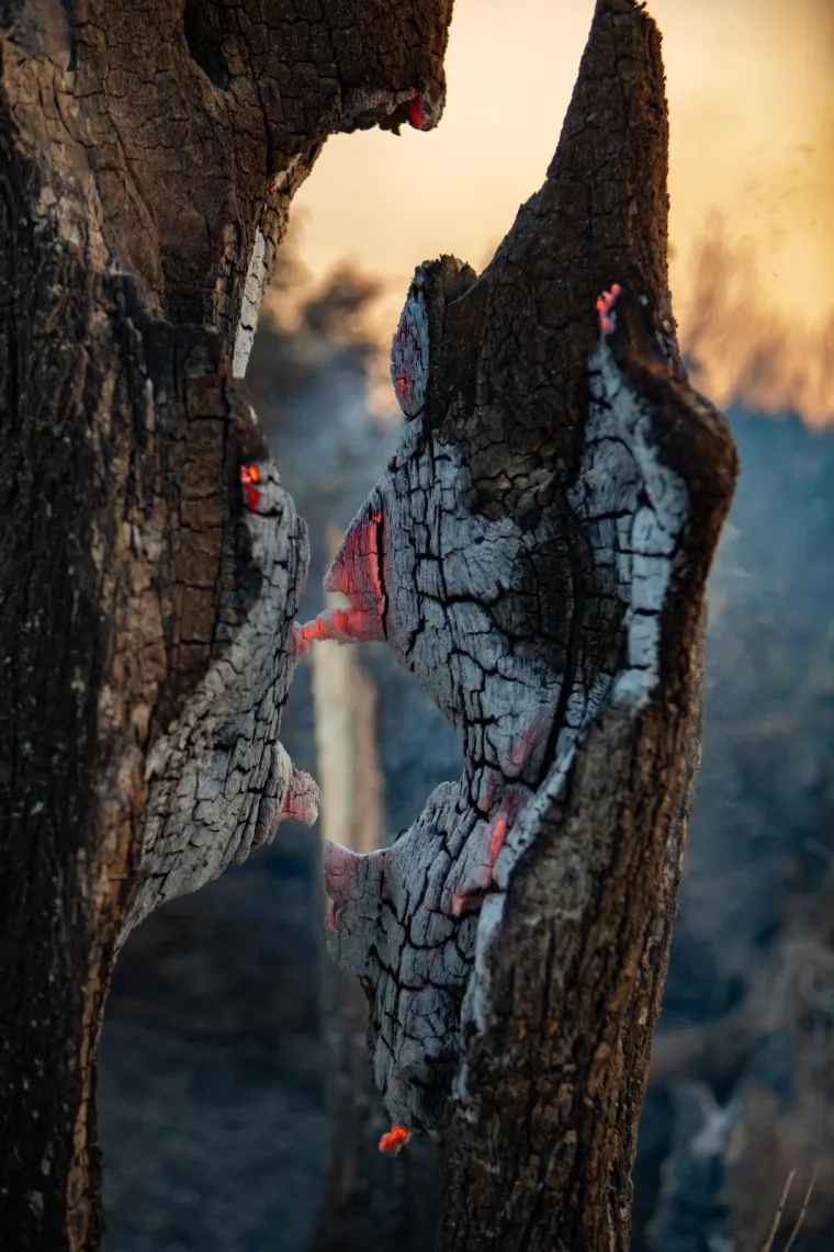 POGLEDAJTE DRAMATIČNE FOTOGRAFIJE: Požar na Pelje&scaron;cu iza sebe je ostavio pusto&scaron;
