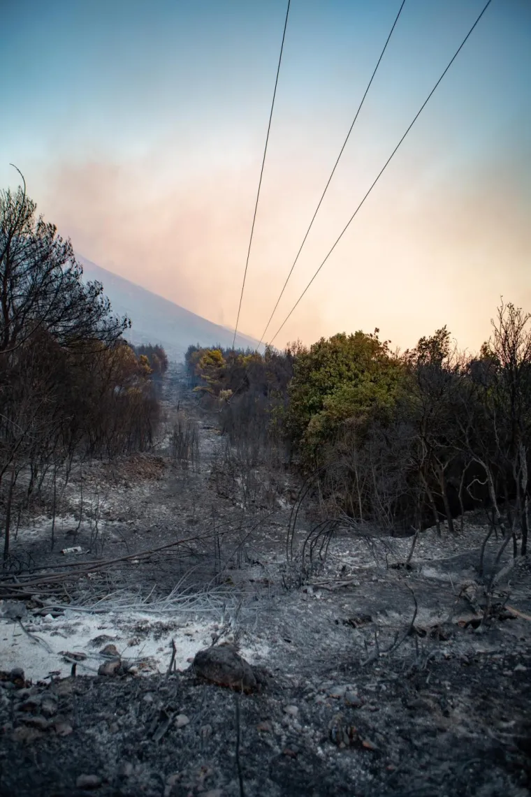 POGLEDAJTE DRAMATIČNE FOTOGRAFIJE: Požar na Pelje&scaron;cu iza sebe je ostavio pusto&scaron;