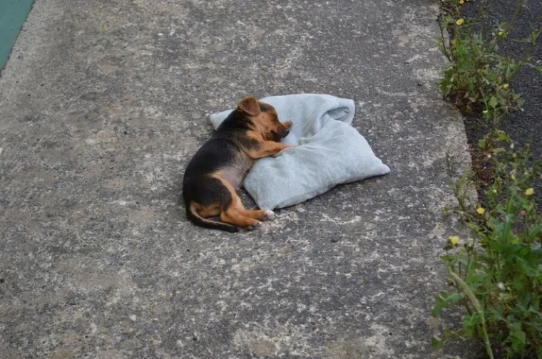 Kad si umoran, nisi svoj: pogledajte na kojim sve mjestima možemo zaspati