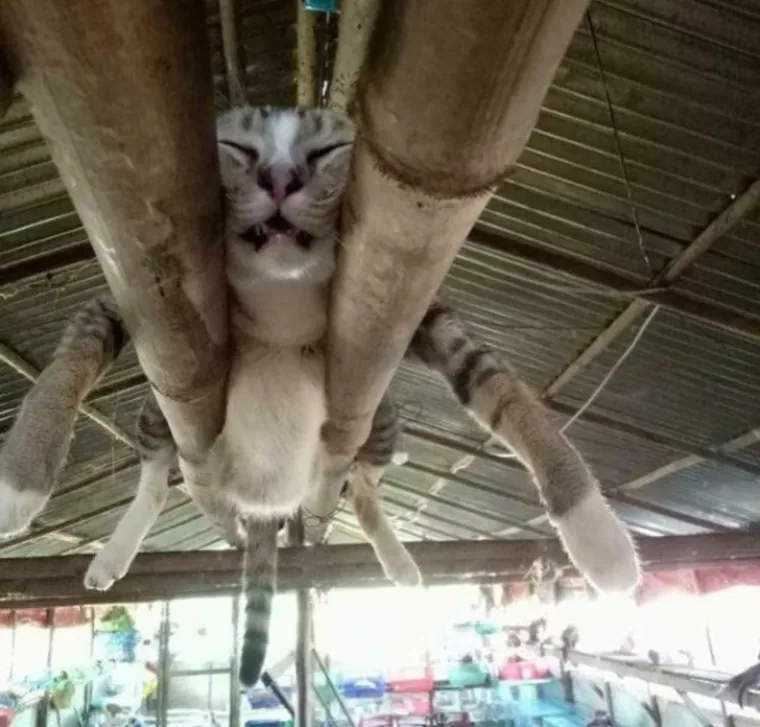 Kad si umoran, nisi svoj: pogledajte na kojim sve mjestima možemo zaspati