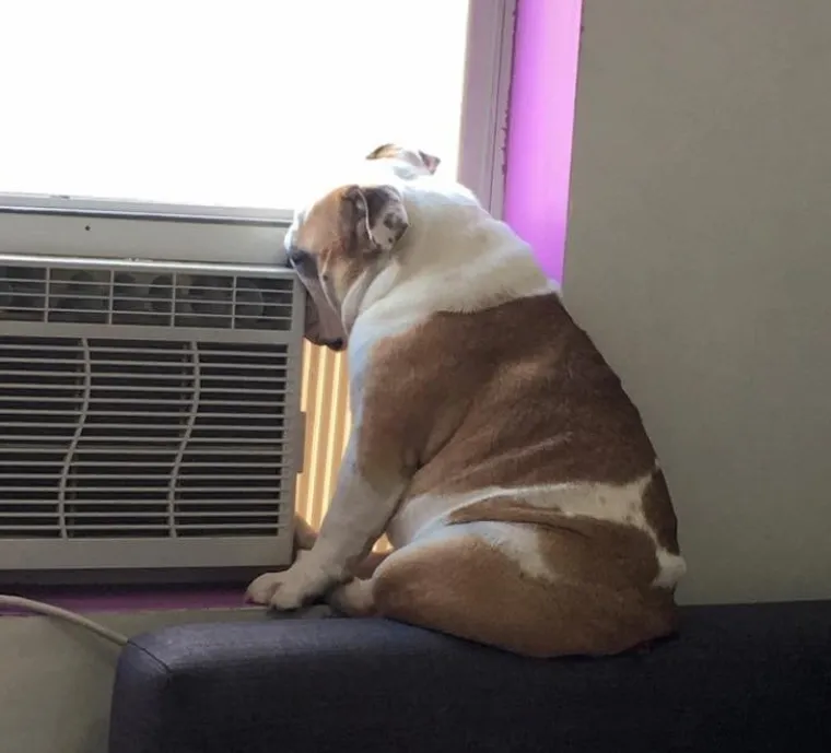 Kad si umoran, nisi svoj: pogledajte na kojim sve mjestima možemo zaspati