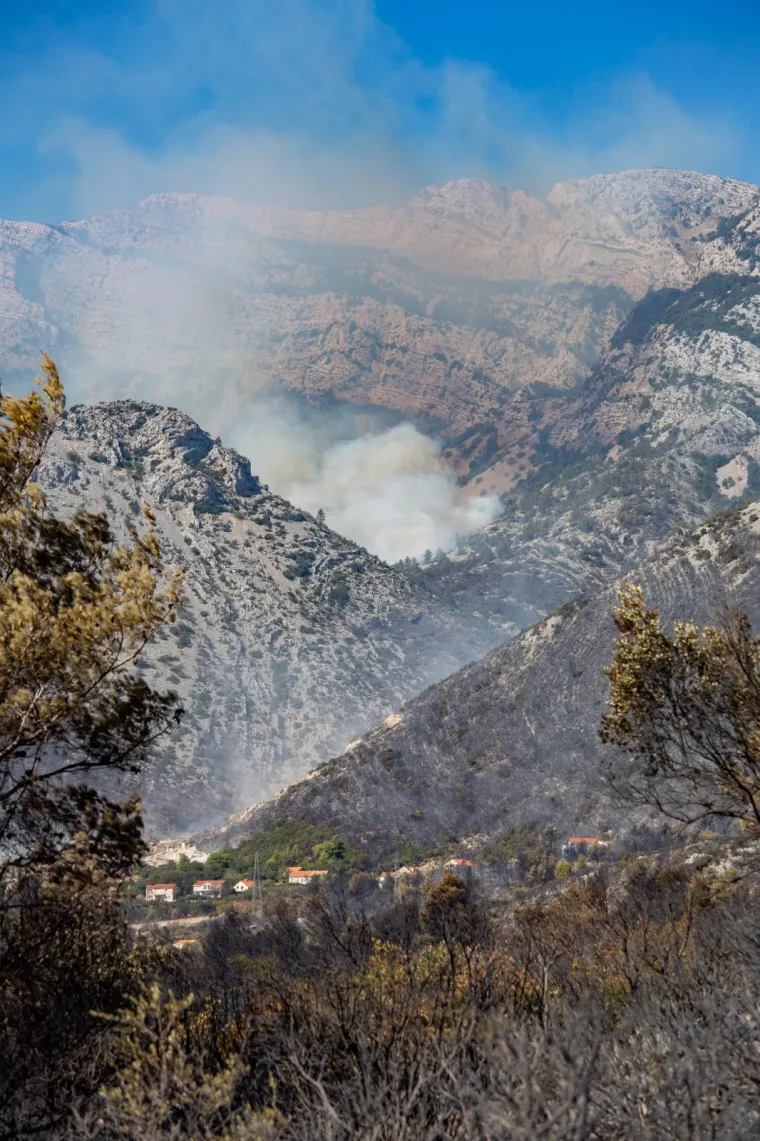 Tužni prizori: Veliki požar na Pelje&scaron;cu poharao sve pred sobom