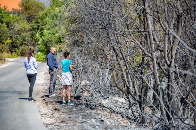 Tužni prizori: Veliki požar na Pelje&scaron;cu poharao sve pred sobom