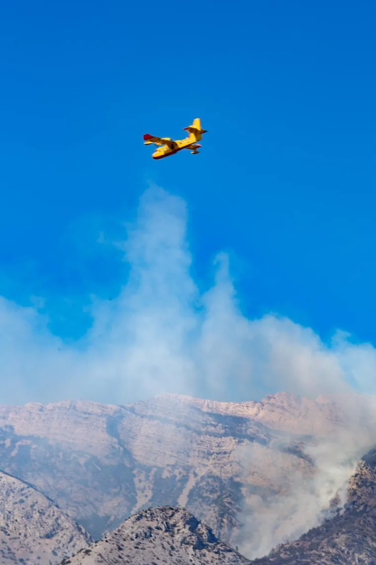 Tužni prizori: Veliki požar na Pelje&scaron;cu poharao sve pred sobom