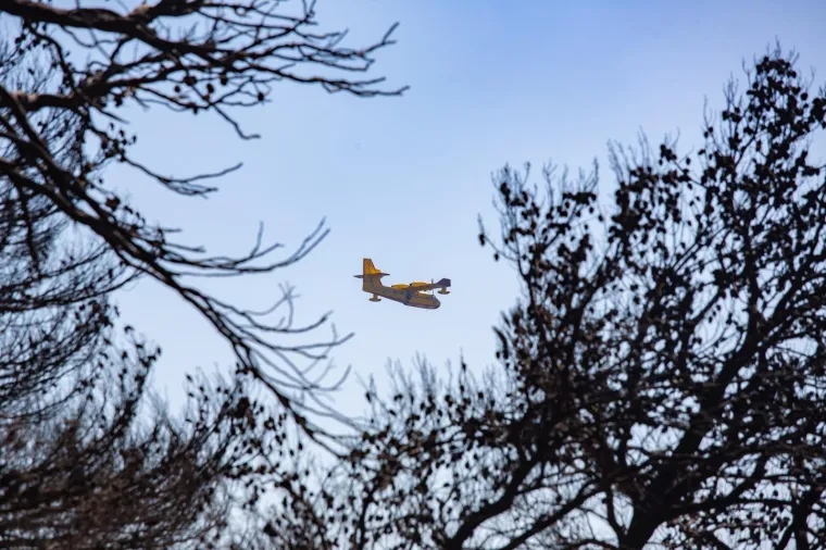 Tužni prizori: Veliki požar na Pelje&scaron;cu poharao sve pred sobom