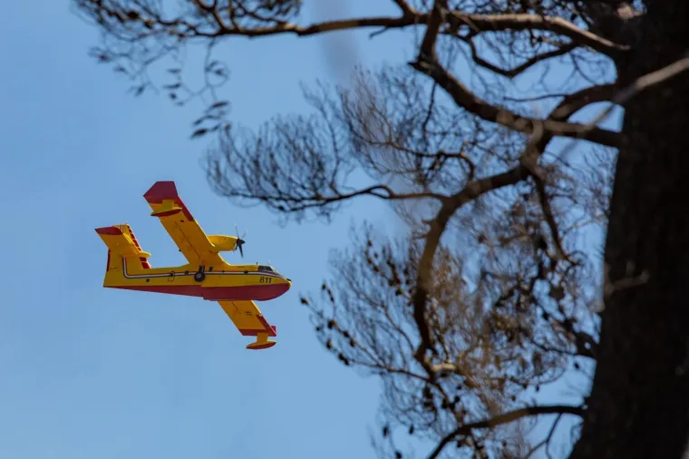 Tužni prizori: Veliki požar na Pelje&scaron;cu poharao sve pred sobom