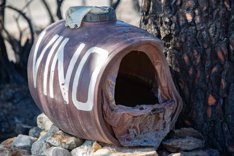 Tužni prizori: Veliki požar na Pelje&scaron;cu poharao sve pred sobom