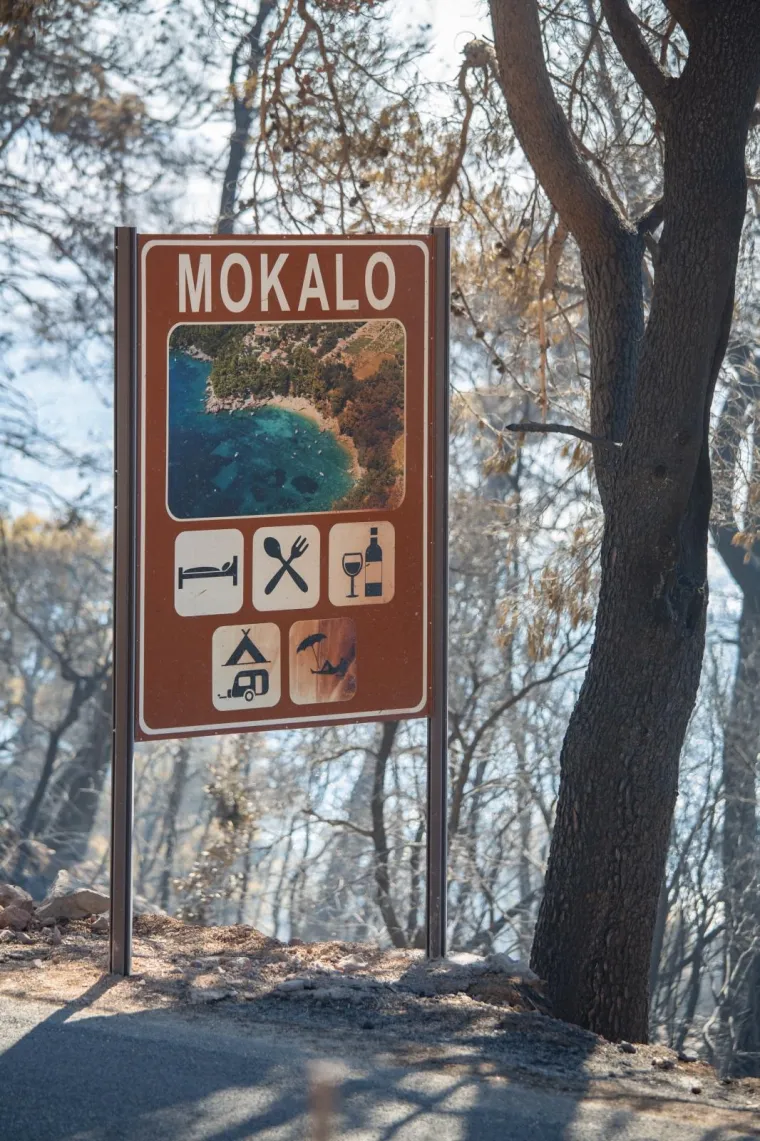 Tužni prizori: Veliki požar na Pelje&scaron;cu poharao sve pred sobom